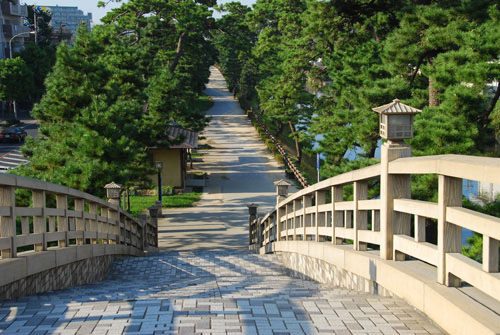 「草加松原」が新日本歩く道紀行に認定されました