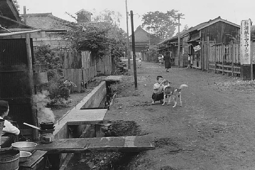 素材管理:犬と遊ぶ昔の路地風景