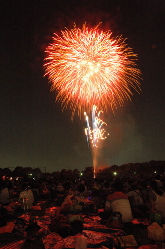 Crackers In Sky