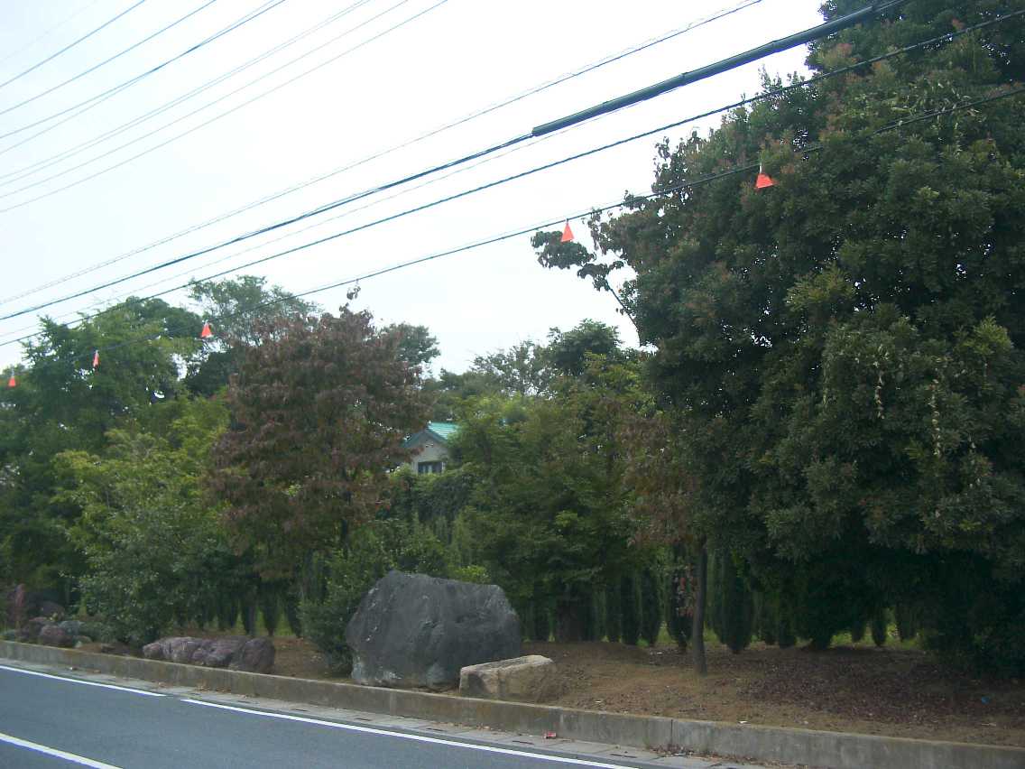 保存樹林（ケヤキ、エノキ、シラカシ等）の写真の画像