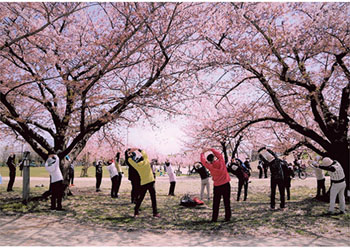 「桜の下でラジオ体操」