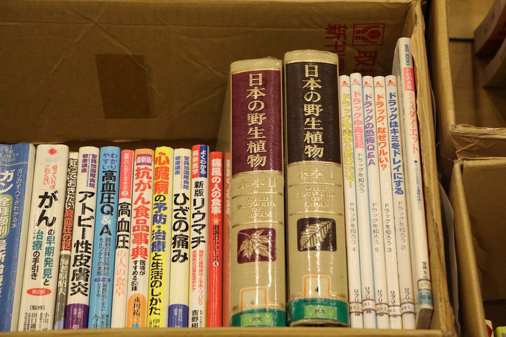 2017年古本市6