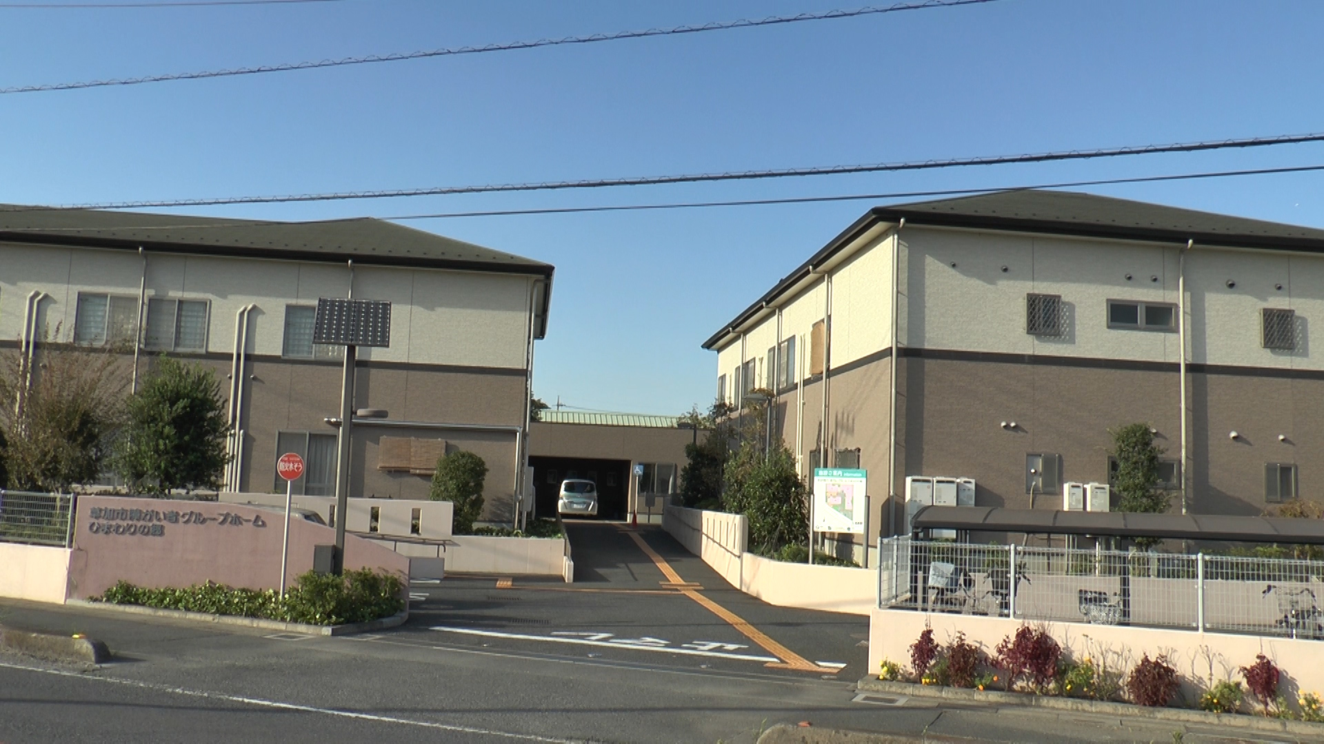 181216_himawari.jpg