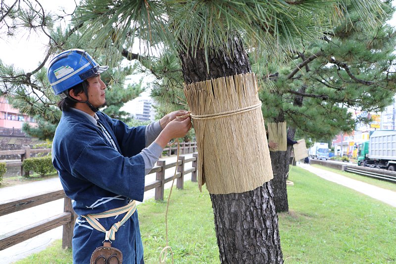 こもまき1の画像