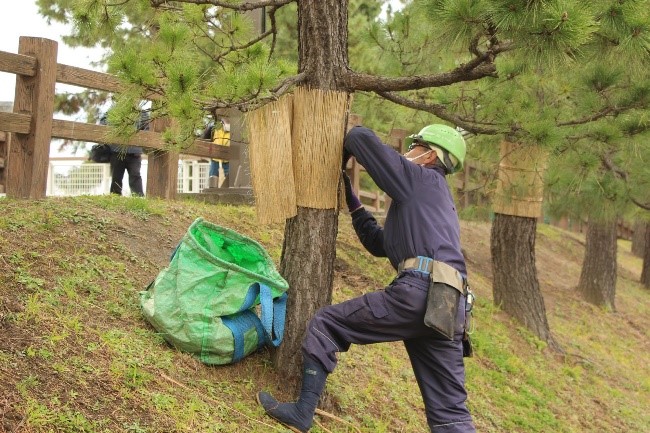 こもを外す職人2