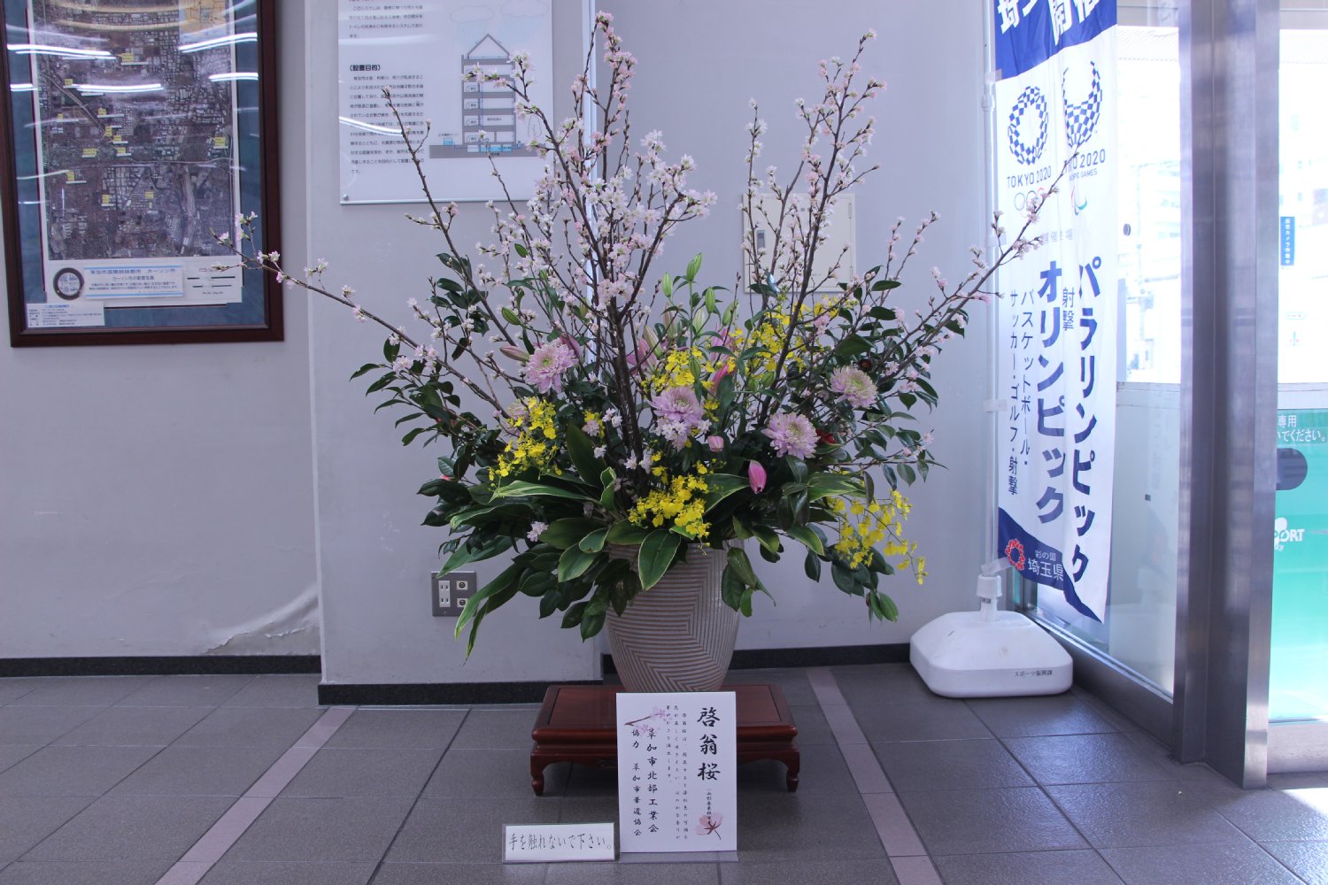 市役所西棟で早春を告げる花 啓翁桜 の生け花をお楽しみください 草加市役所