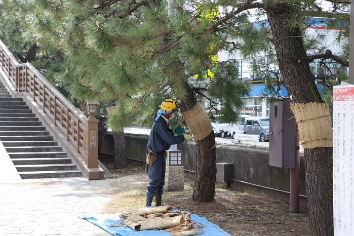 百代橋の近くのこも外しの様子