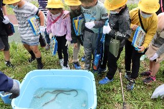 長栄小_綾瀬川写真_03