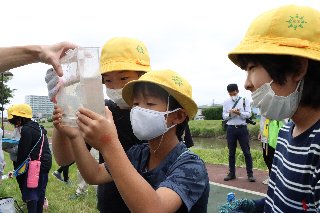 長栄小_綾瀬川写真_04