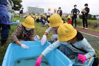 長栄小_綾瀬川写真_05