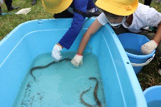 長栄小_綾瀬川写真_06