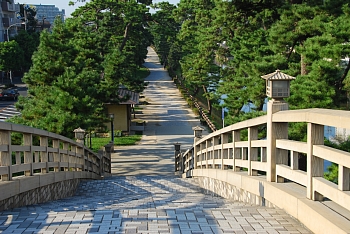 百代橋と松並木の画像