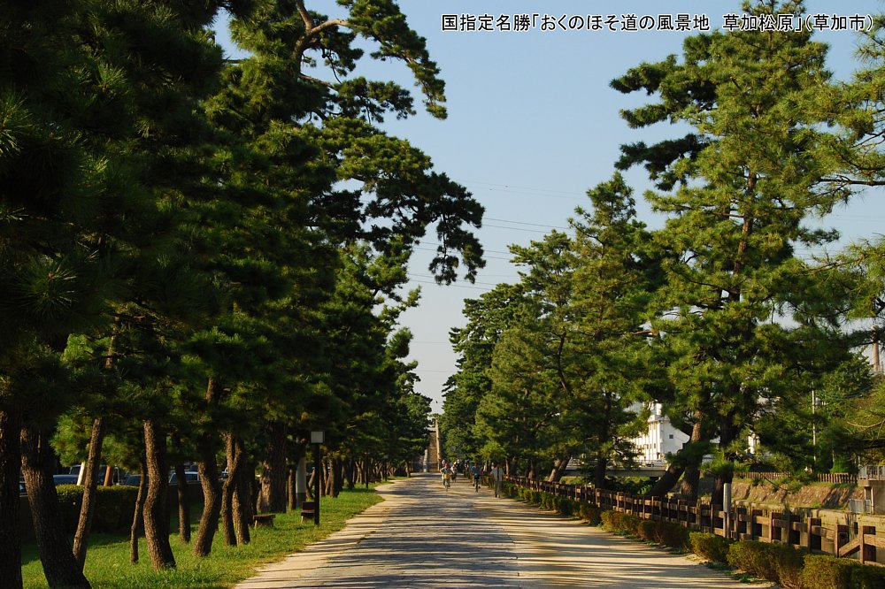 提供画像2