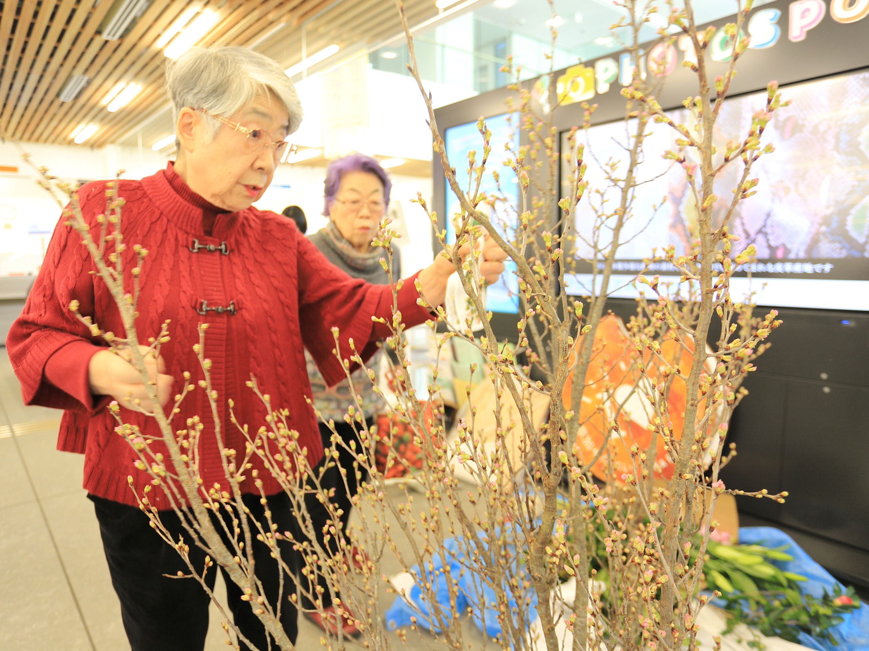 生け花展トップ.JPG