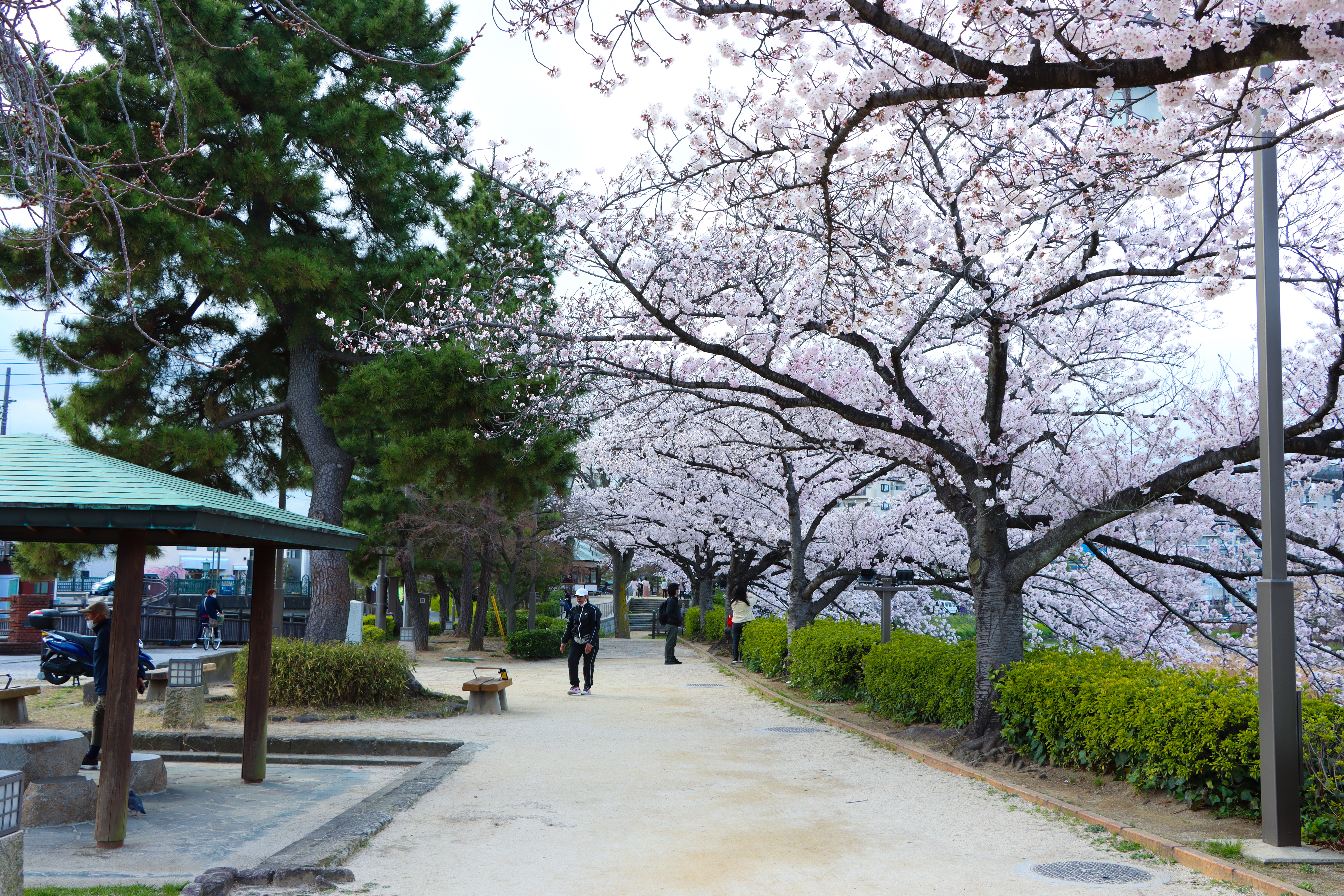 札場河岸公園