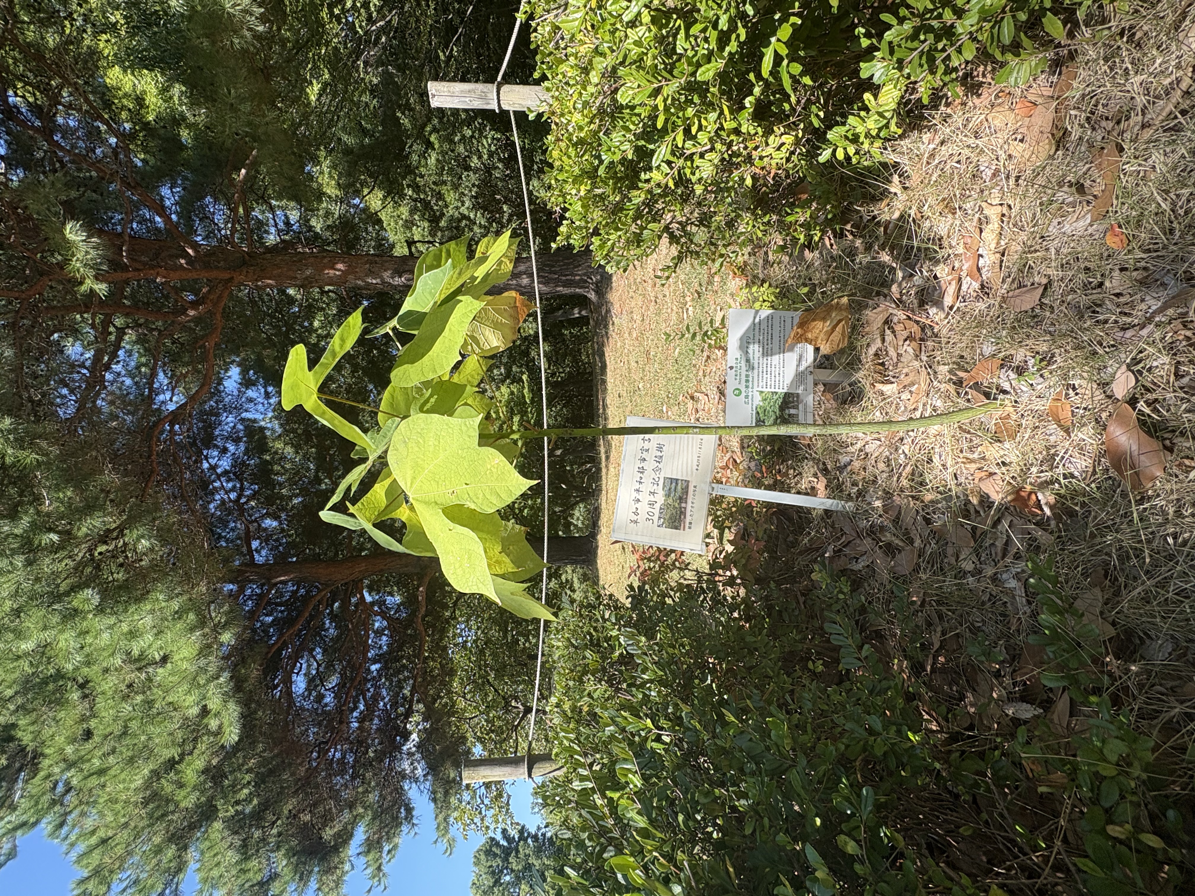 IMG_0829.jpg