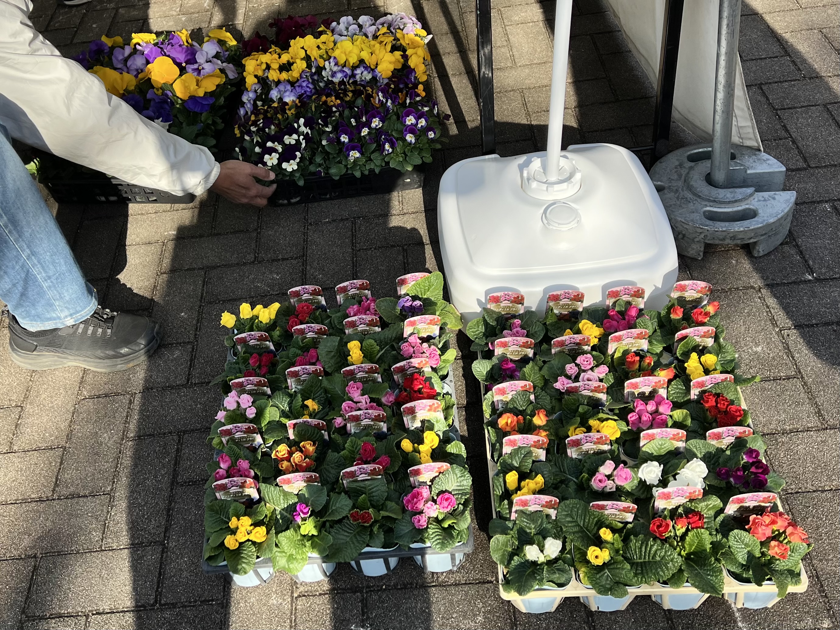 R7農業祭（花き②）