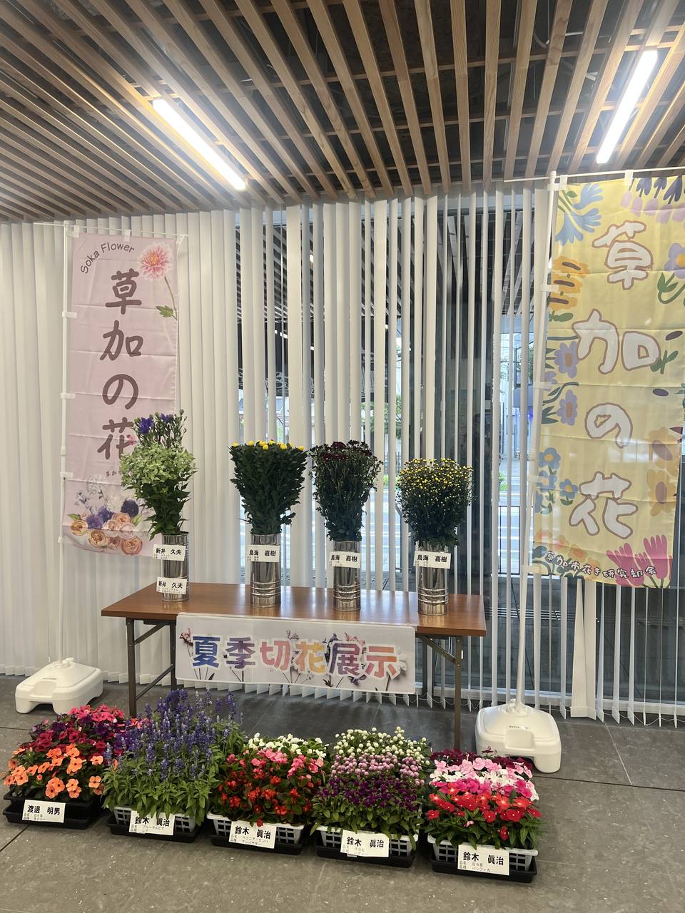 0622_夏季切花展示1