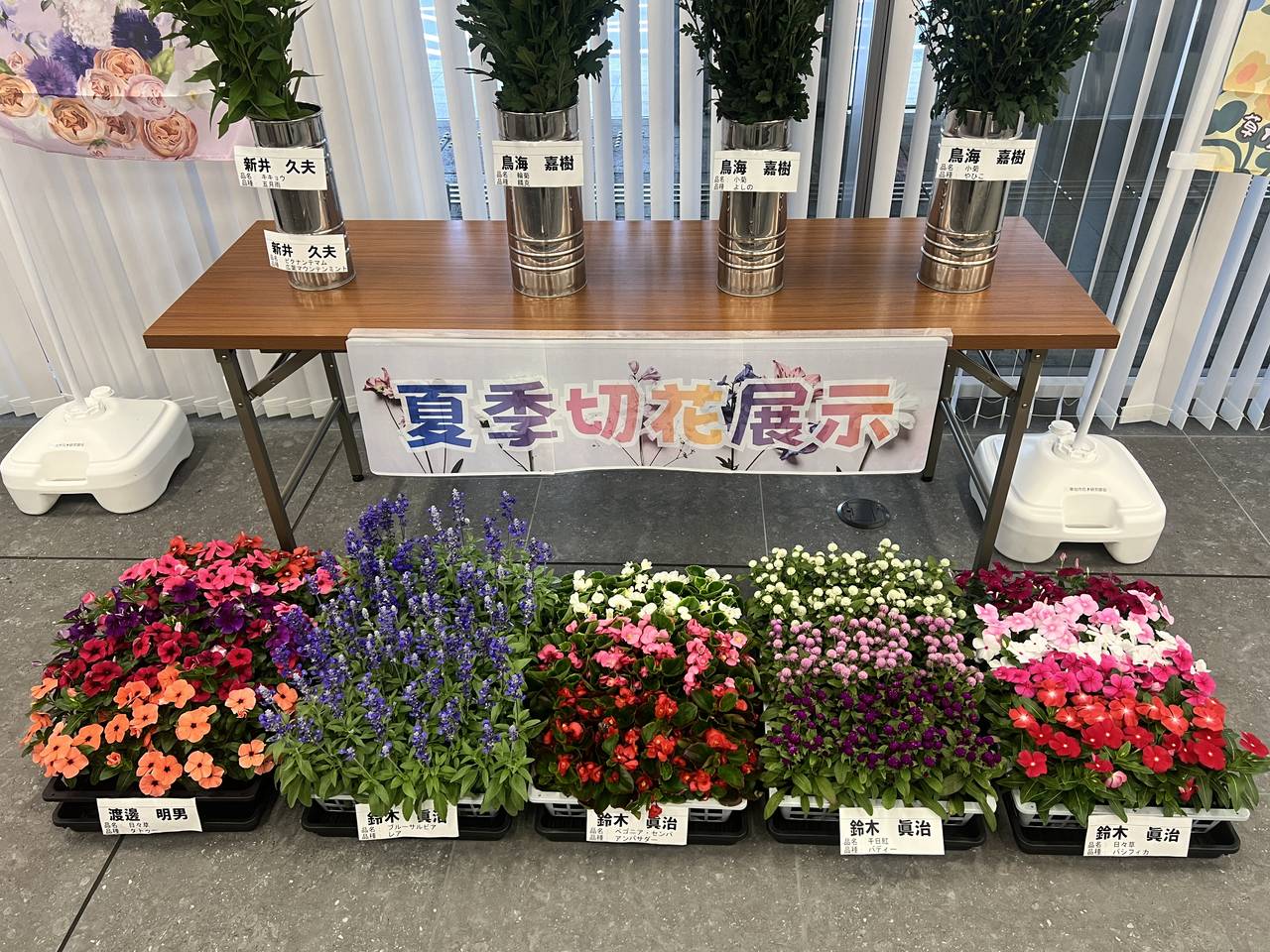 0622_夏季切花展示2