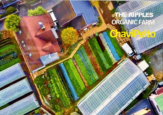 農場（チャヴィペルト）