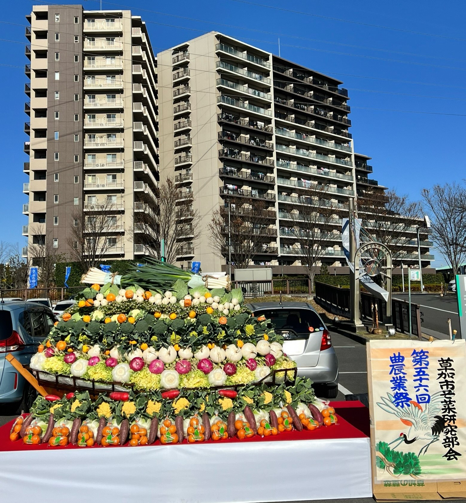 そ菜研究部会