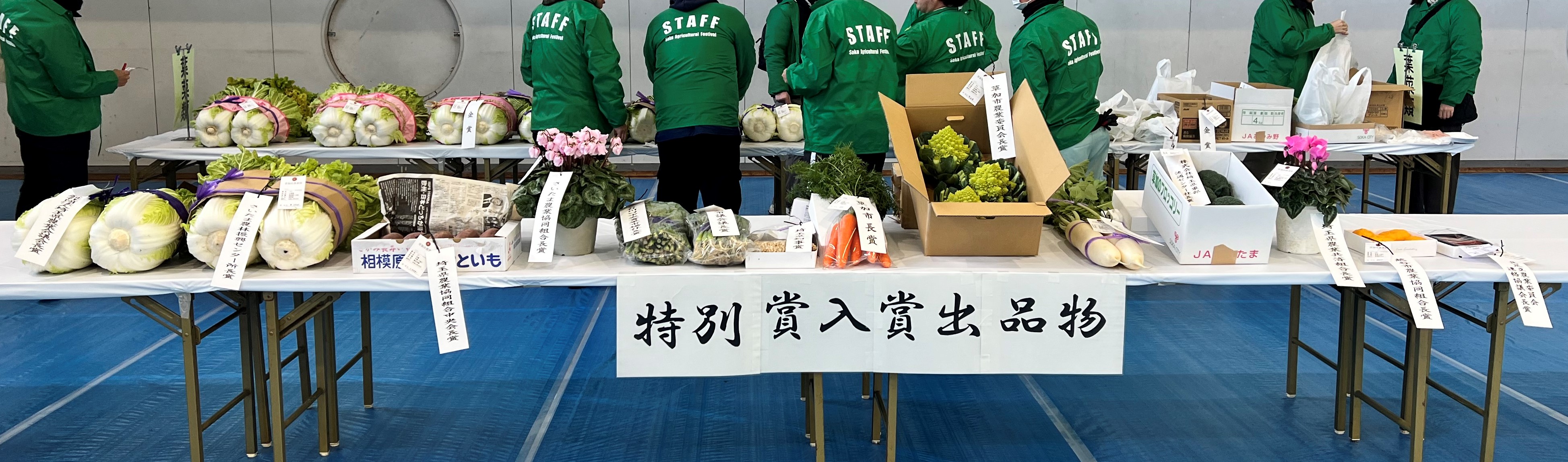 特別賞受賞作品