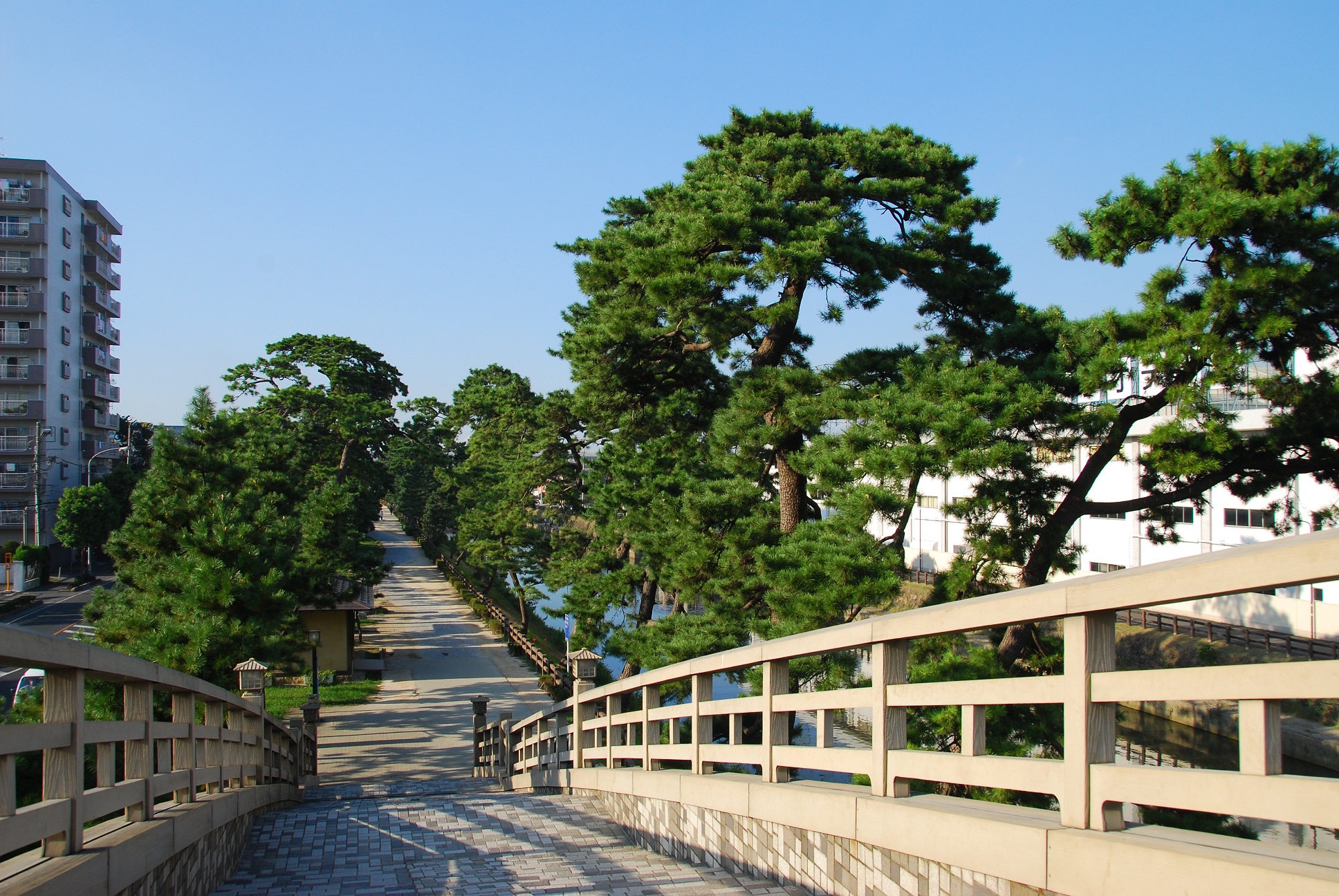 01_20221110_okunohosomichimatubara.JPG