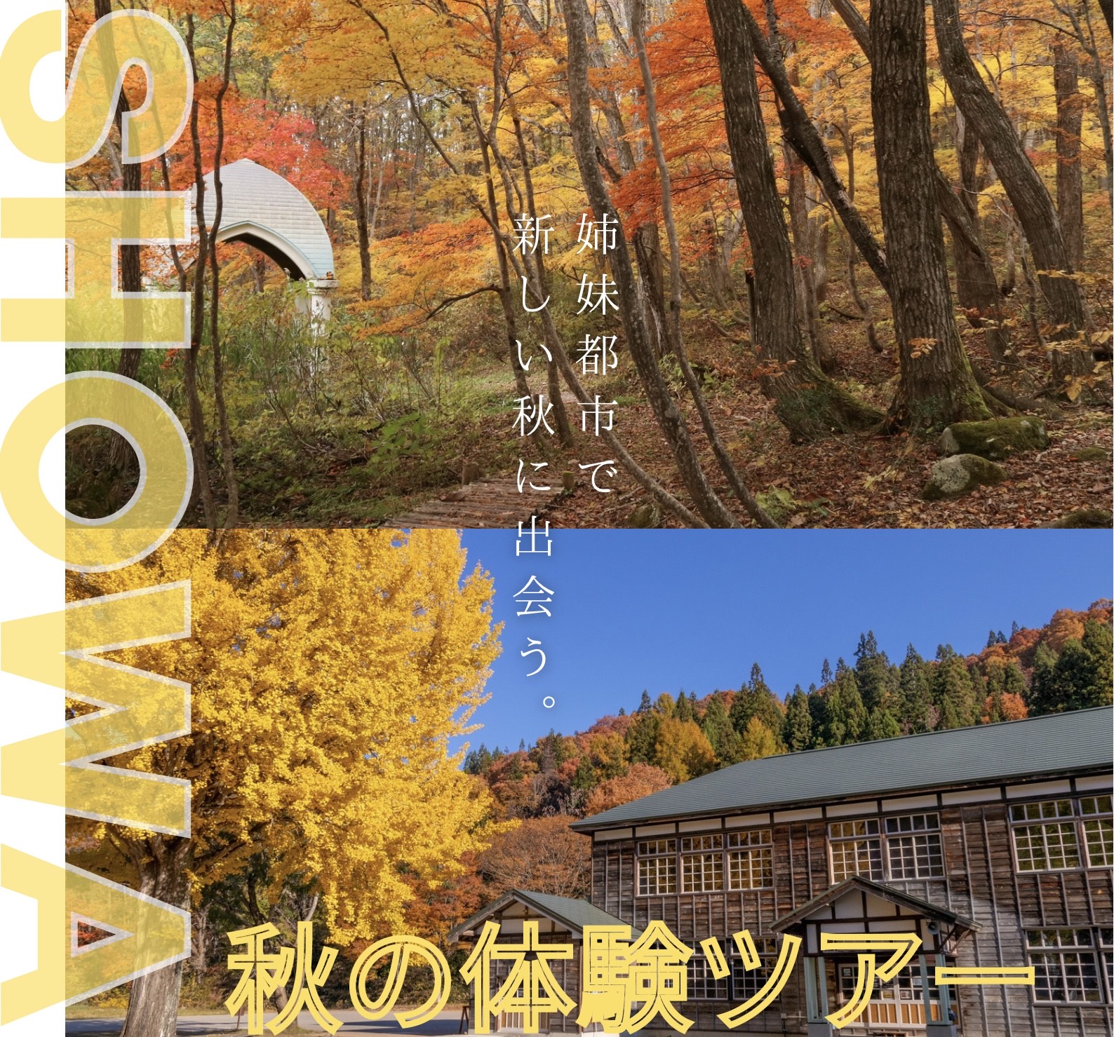R6昭和村秋ツアートップ.jpg