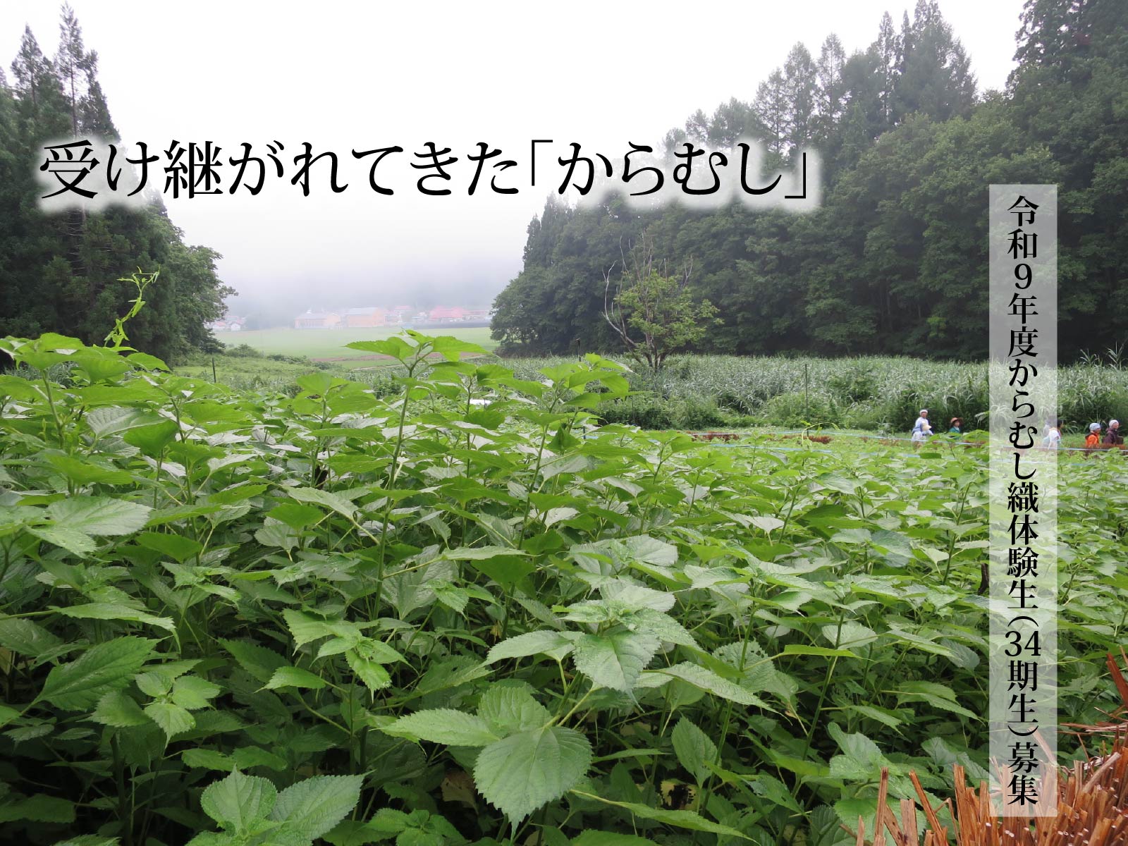 b06bb98171cdb21071446cb427f03a01.jpg