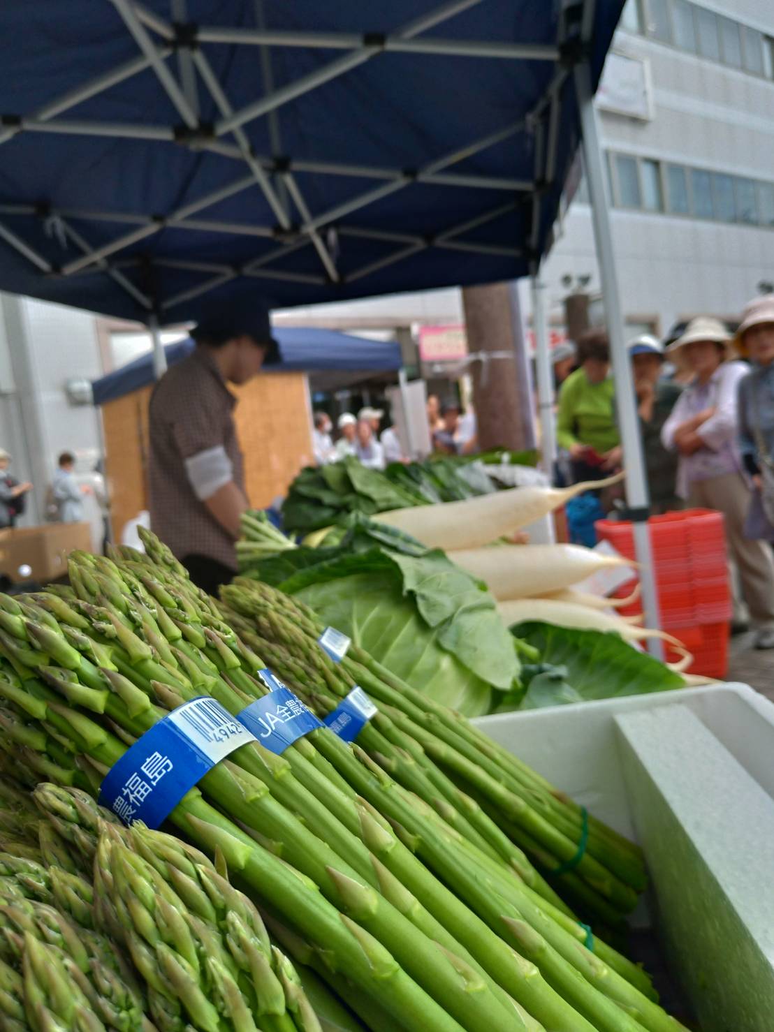 新鮮な野菜の画像