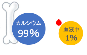 ca-hone.PNG