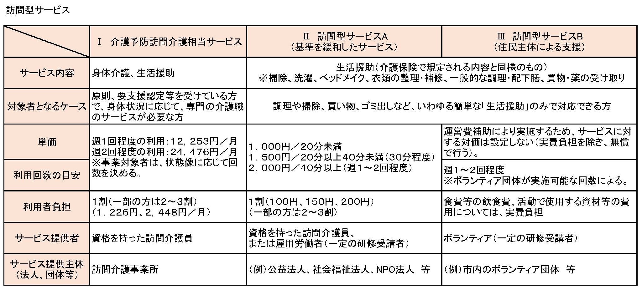 訪問型サービス