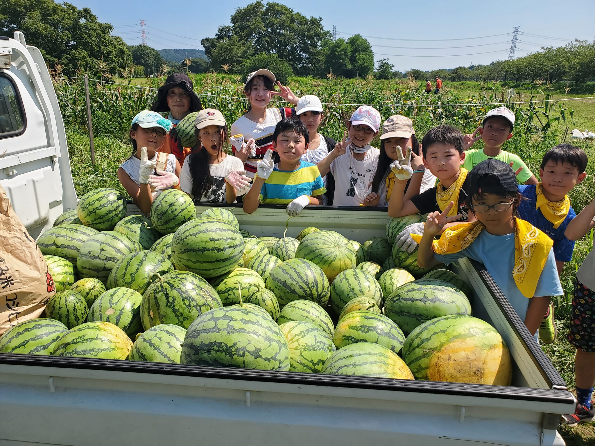 ポッポ農園野菜収穫
