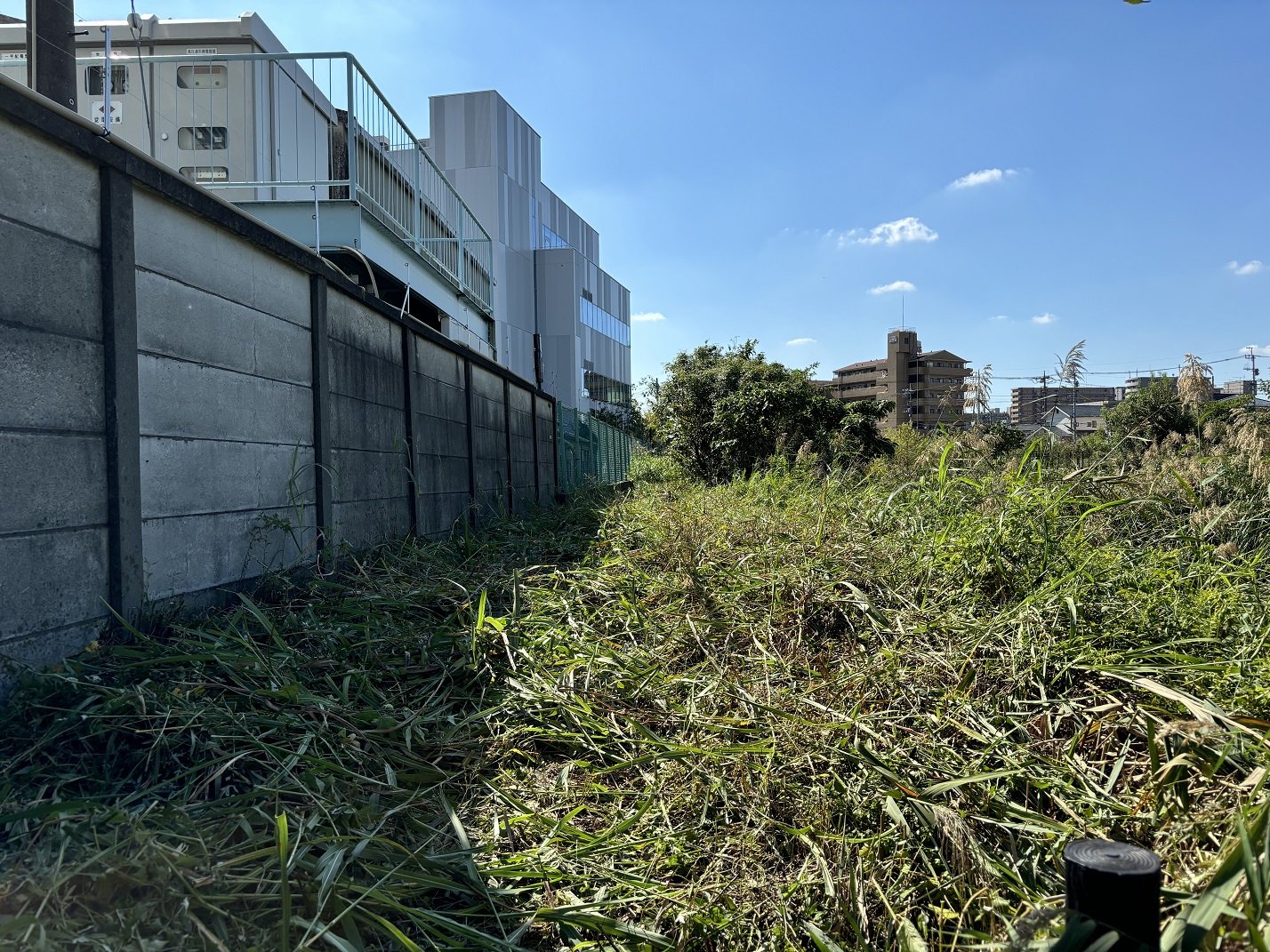 古綾瀬（作業後）