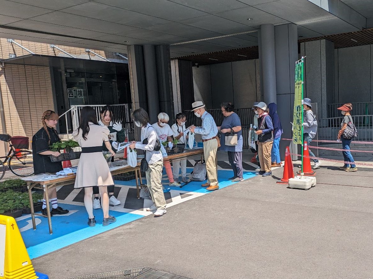 ゴーヤ配布