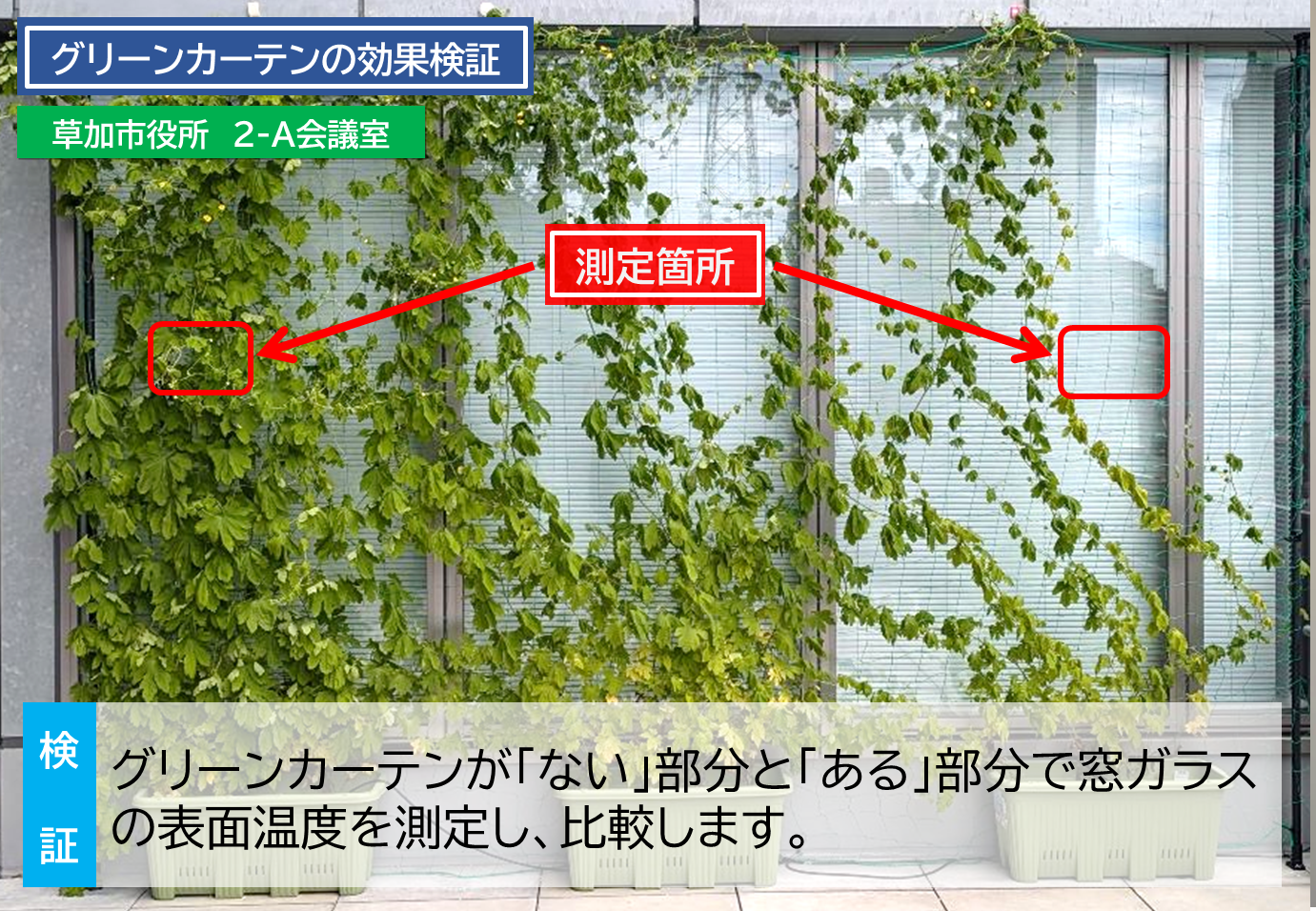 greencurtainkensho1.png