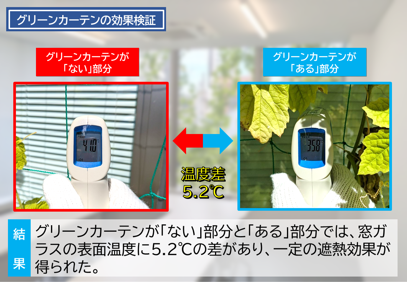 greencurtainkensho4.png