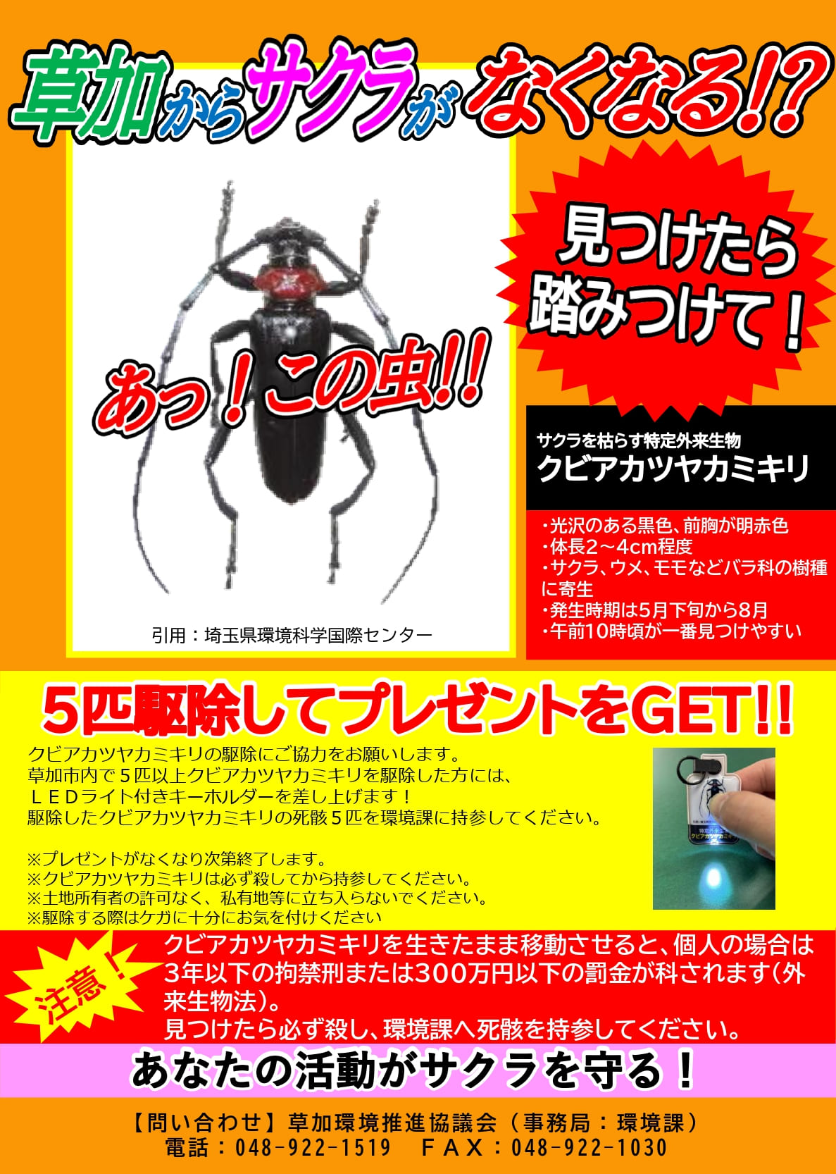 クビアカツヤカミキリチラシ修正