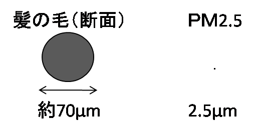 PM2.5説明