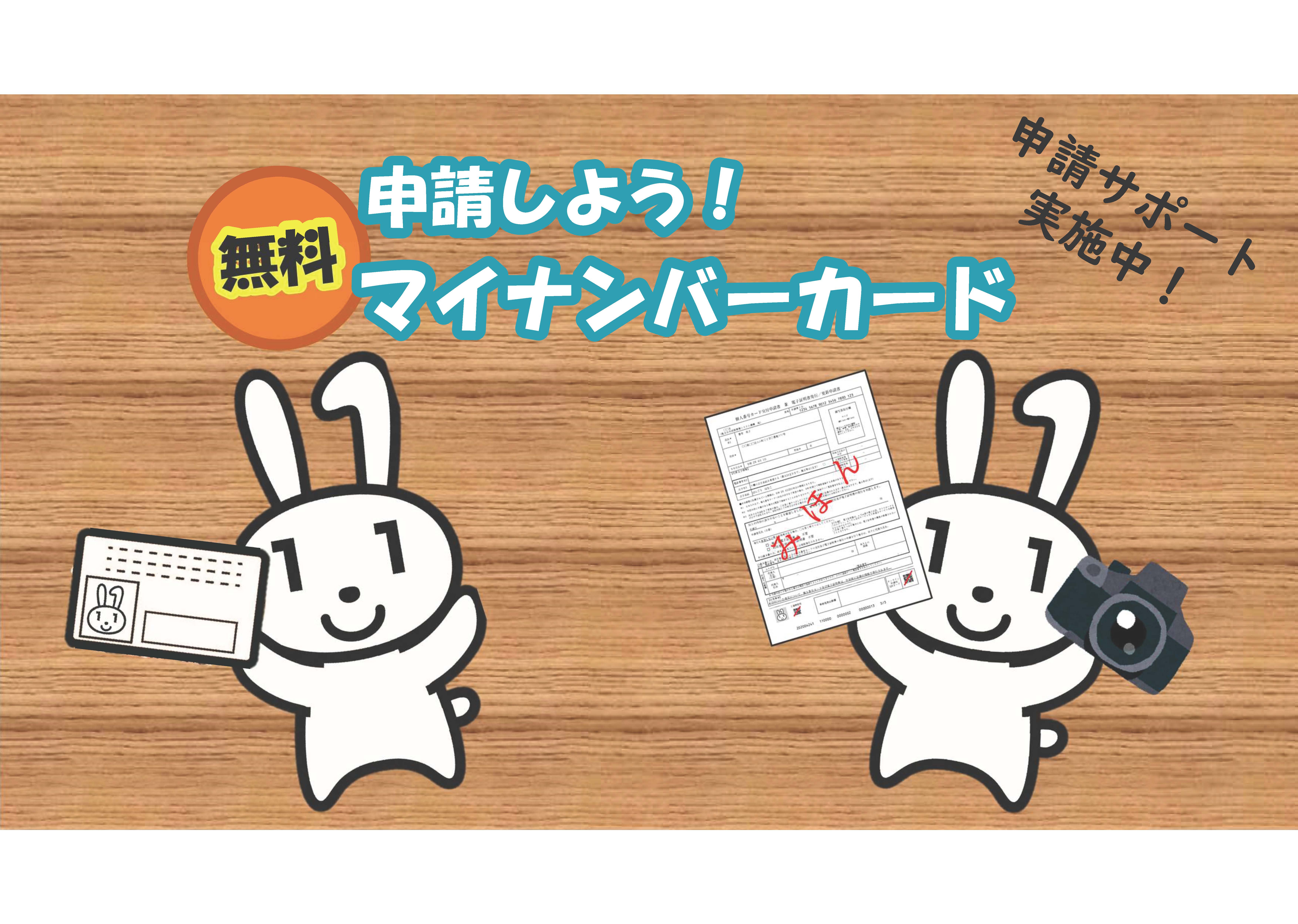 の画像