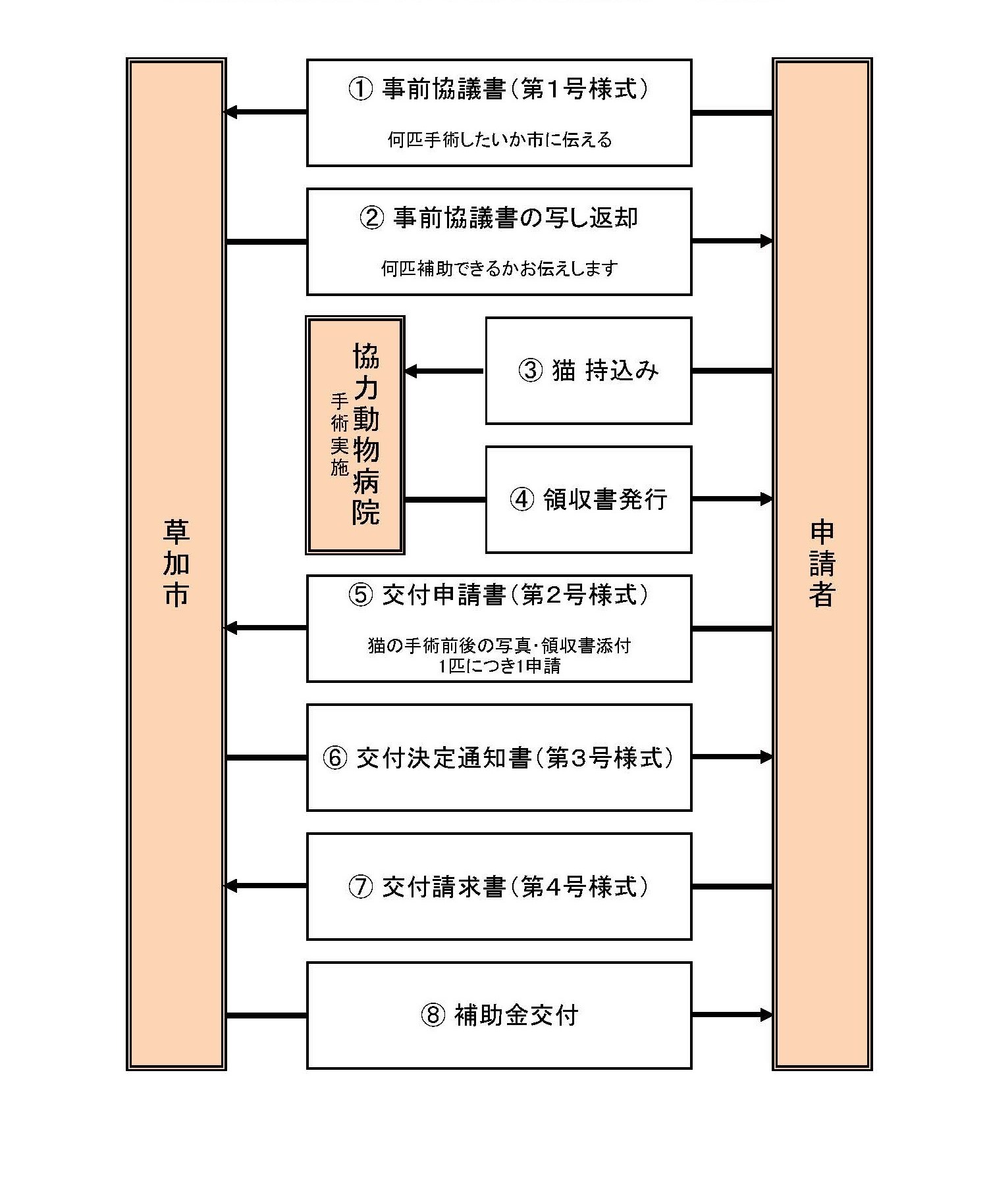猫フロー図（1回目用）