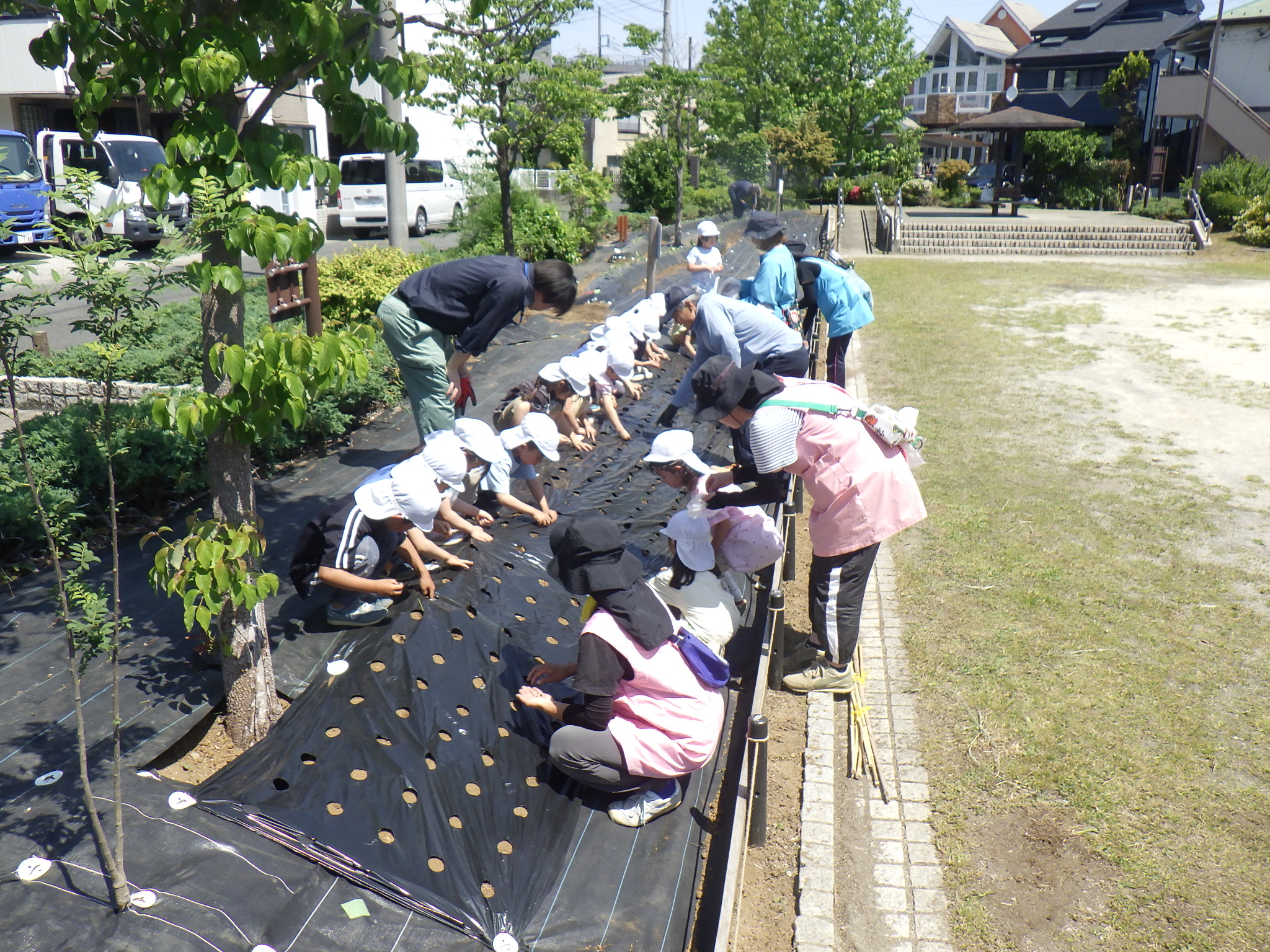 の画像