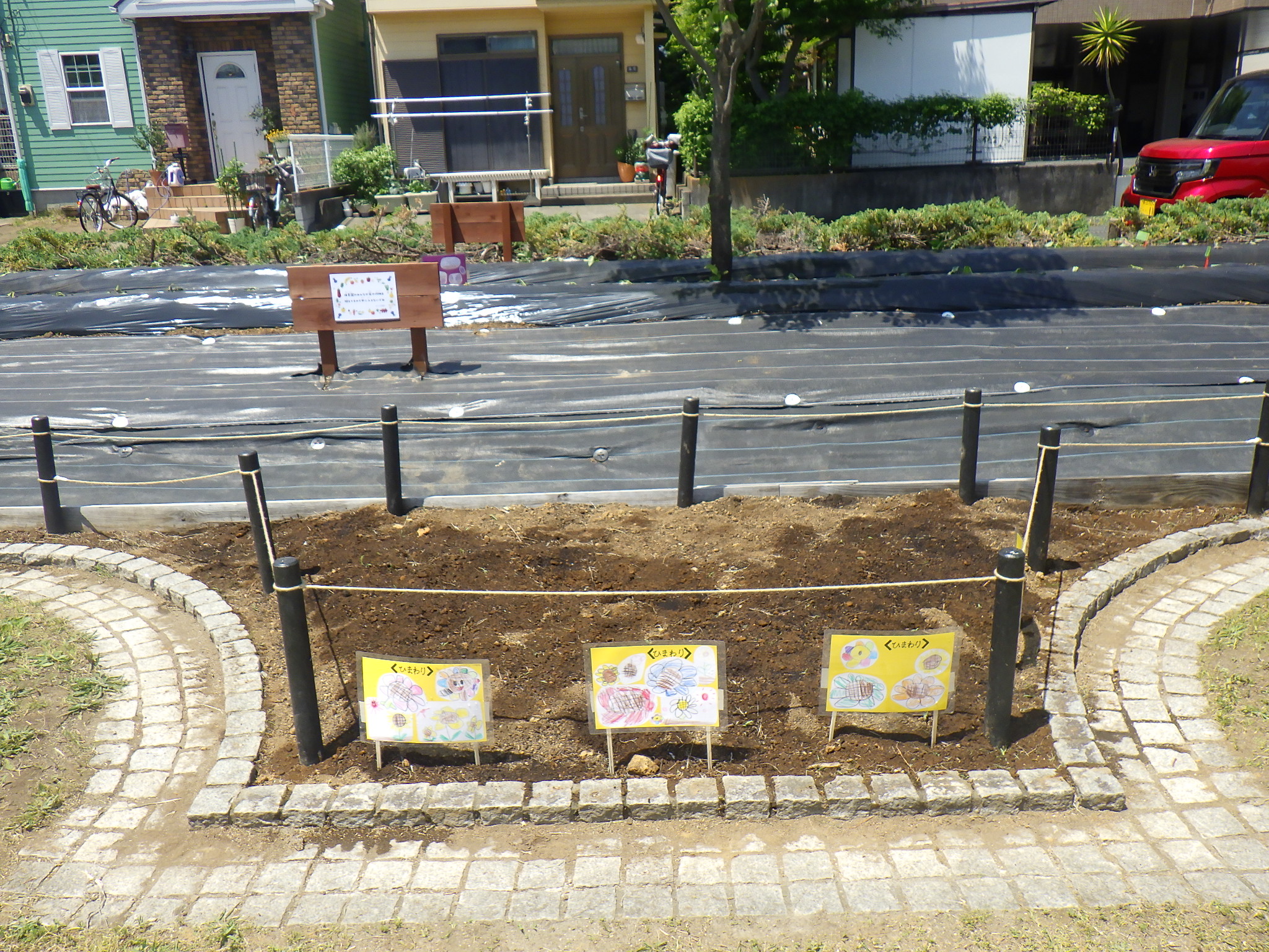 の画像
