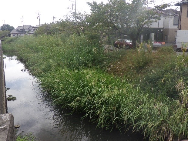 2025年度　土木の日HP　更新