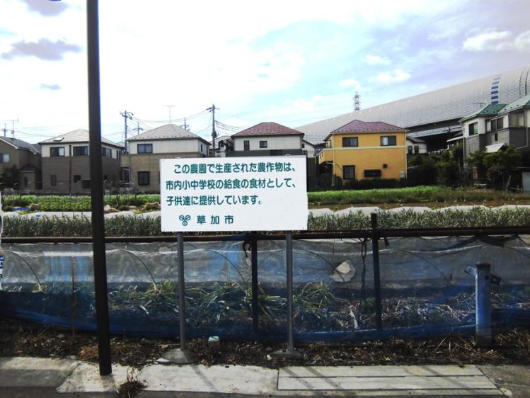 地産地消の取り組みの画像