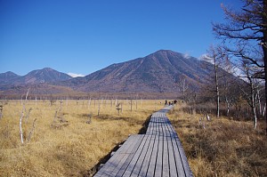  自然の家 戦場ヶ原の画像