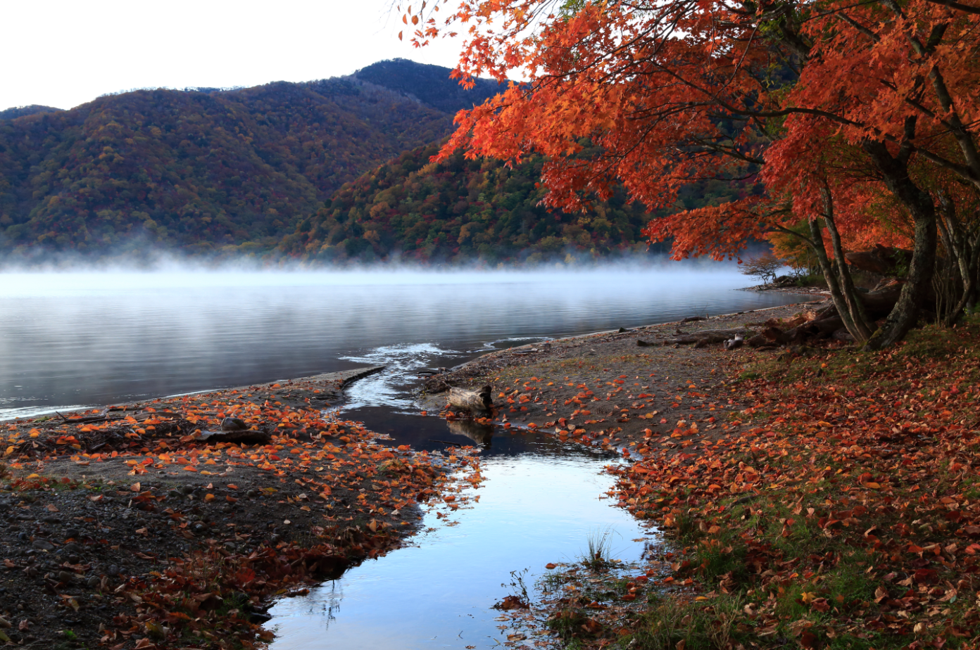 紅葉の中禅寺湖の画像
