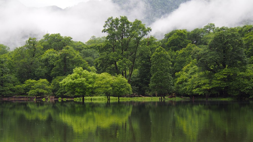 西ノ湖の画像