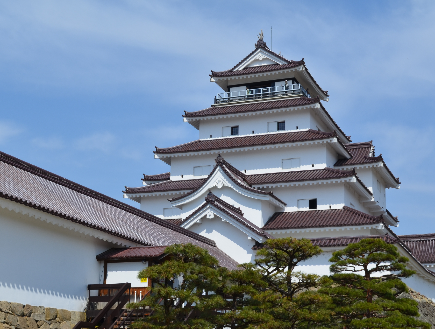 の画像