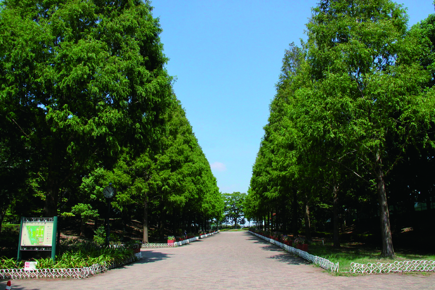そうか公園
